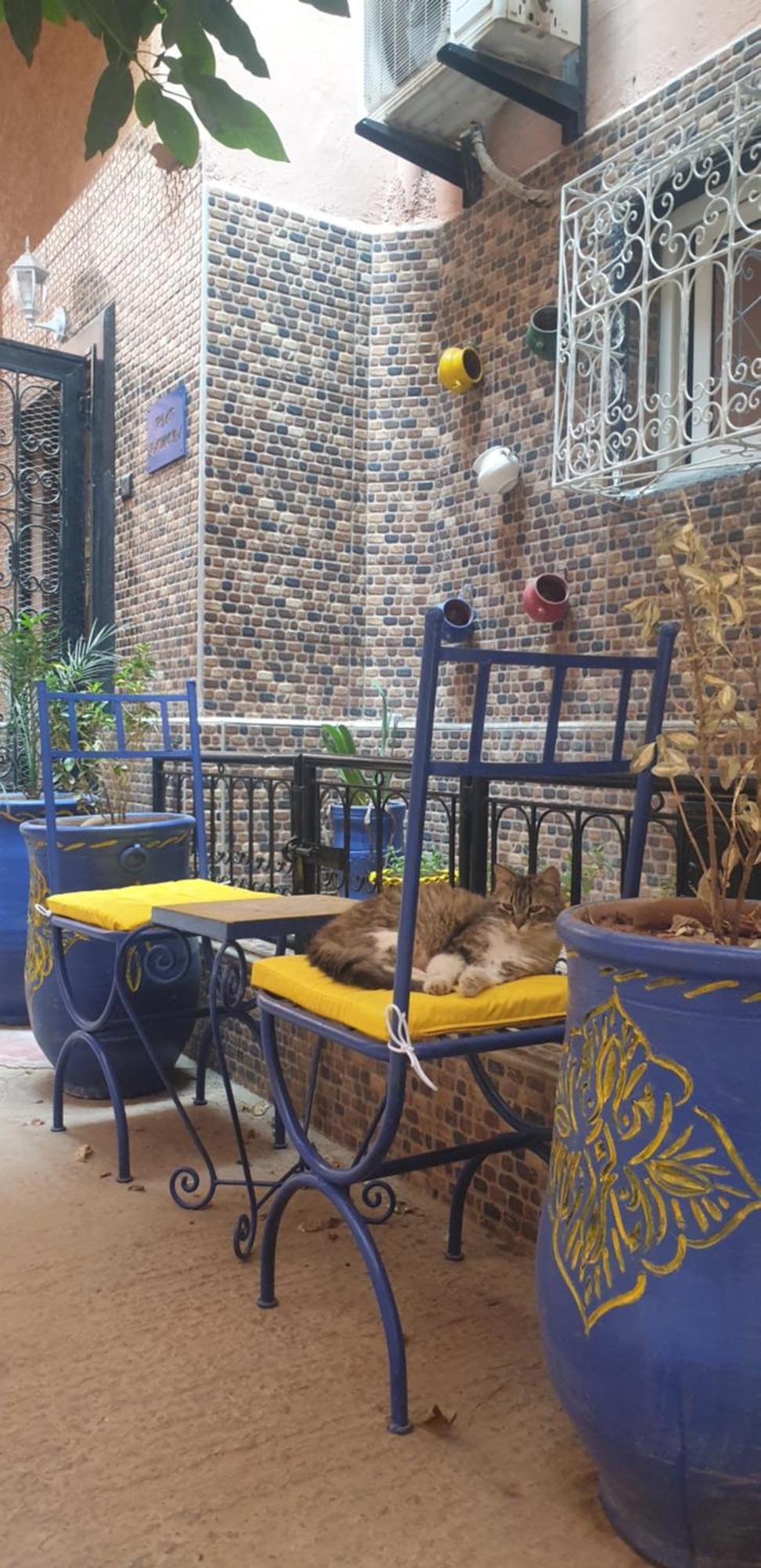 Riad Ramona Lqariya Seyaheya Marrakesh Exterior foto